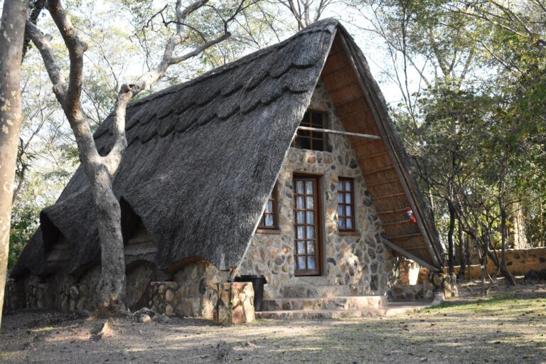 491934180 24130072083247106 4320744938432804366 n 768x512